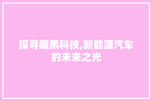 探寻耀黑科技,新能源汽车的未来之光