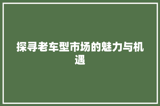 探寻老车型市场的魅力与机遇