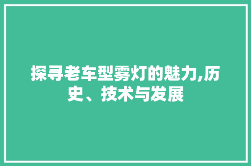 探寻老车型雾灯的魅力,历史、技术与发展 发动机配件