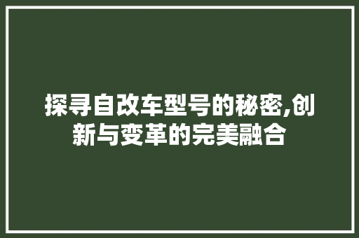 探寻自改车型号的秘密,创新与变革的完美融合
