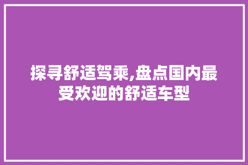 探寻舒适驾乘,盘点国内最受欢迎的舒适车型