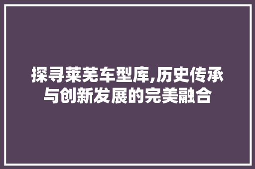 探寻莱芜车型库,历史传承与创新发展的完美融合