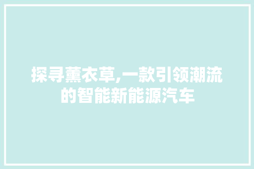 探寻薰衣草,一款引领潮流的智能新能源汽车