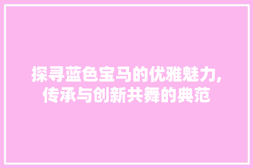 探寻蓝色宝马的优雅魅力,传承与创新共舞的典范