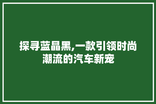 探寻蓝晶黑,一款引领时尚潮流的汽车新宠