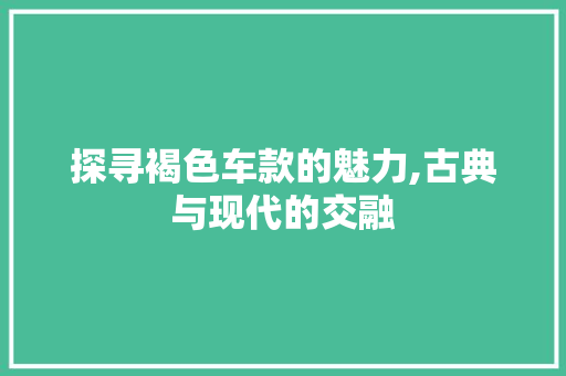 探寻褐色车款的魅力,古典与现代的交融