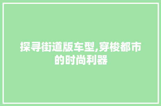 探寻街道版车型,穿梭都市的时尚利器
