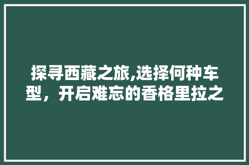 探寻西藏之旅,选择何种车型，开启难忘的香格里拉之旅