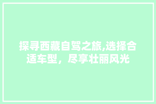 探寻西藏自驾之旅,选择合适车型，尽享壮丽风光