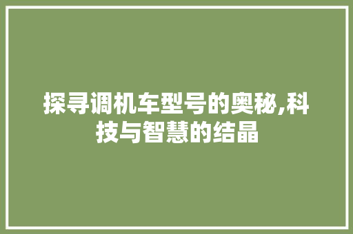 探寻调机车型号的奥秘,科技与智慧的结晶