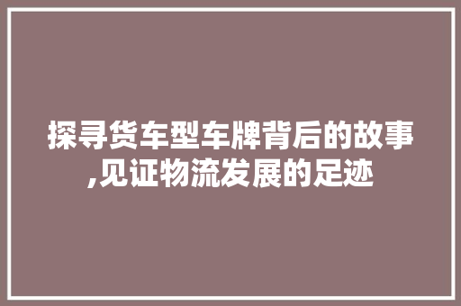 探寻货车型车牌背后的故事,见证物流发展的足迹
