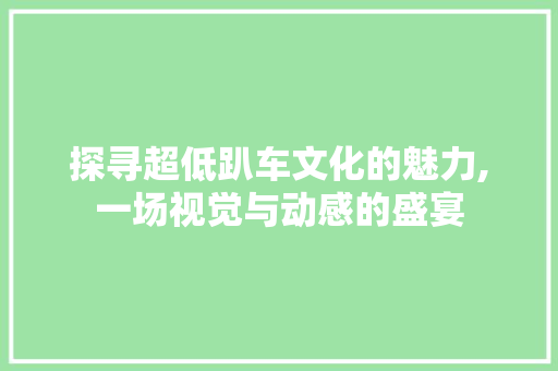 探寻超低趴车文化的魅力,一场视觉与动感的盛宴