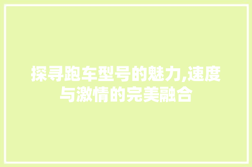 探寻跑车型号的魅力,速度与激情的完美融合