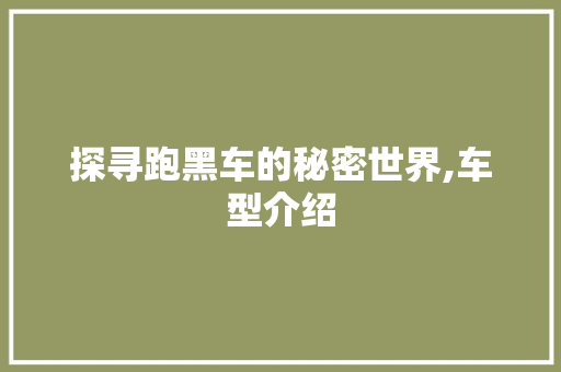 探寻跑黑车的秘密世界,车型介绍