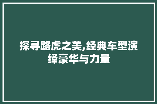 探寻路虎之美,经典车型演绎豪华与力量