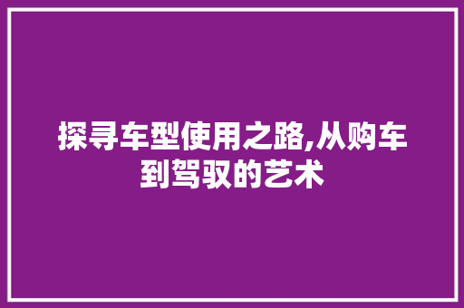 探寻车型使用之路,从购车到驾驭的艺术