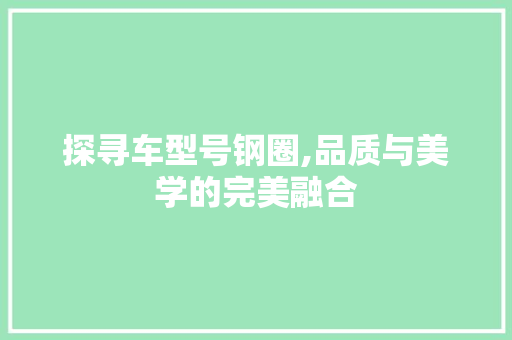 探寻车型号钢圈,品质与美学的完美融合