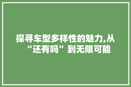 探寻车型多样性的魅力,从“还有吗”到无限可能