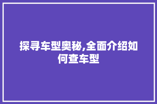 探寻车型奥秘,全面介绍如何查车型