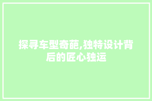 探寻车型奇葩,独特设计背后的匠心独运 蓄电池配件