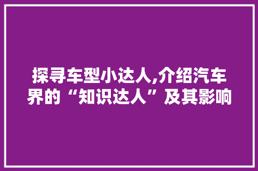 探寻车型小达人,介绍汽车界的“知识达人”及其影响力