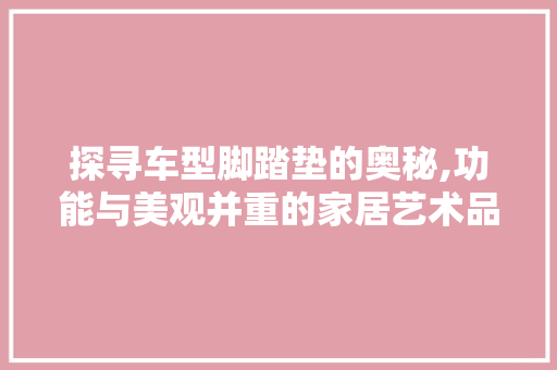 探寻车型脚踏垫的奥秘,功能与美观并重的家居艺术品