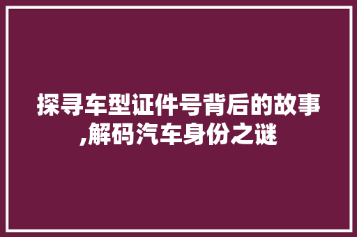探寻车型证件号背后的故事,解码汽车身份之谜