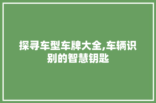 探寻车型车牌大全,车辆识别的智慧钥匙