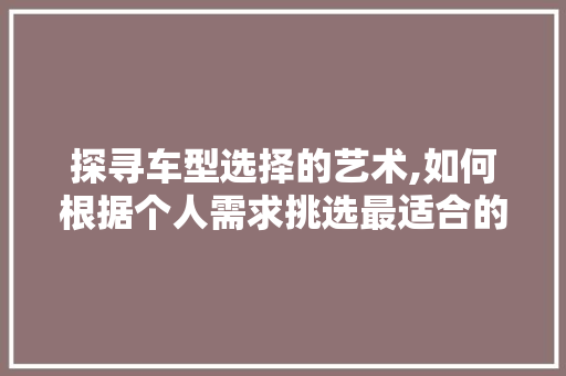 探寻车型选择的艺术,如何根据个人需求挑选最适合的座驾