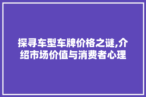 探寻车型车牌价格之谜,介绍市场价值与消费者心理