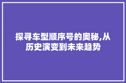 探寻车型顺序号的奥秘,从历史演变到未来趋势