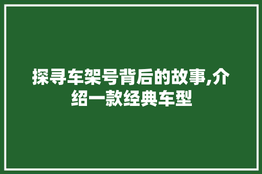 探寻车架号背后的故事,介绍一款经典车型