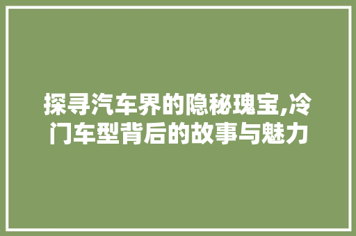 探寻汽车界的隐秘瑰宝,冷门车型背后的故事与魅力