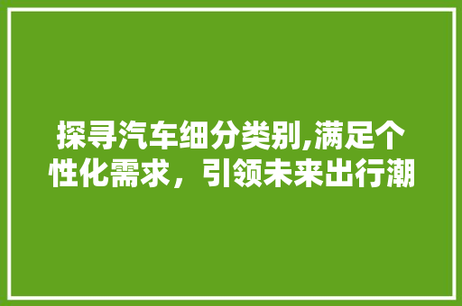 探寻汽车细分类别,满足个性化需求，引领未来出行潮流