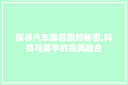 探寻汽车脚后跟的秘密,科技与美学的完美融合