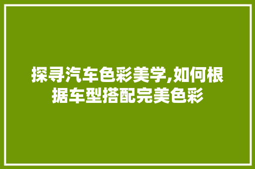 探寻汽车色彩美学,如何根据车型搭配完美色彩