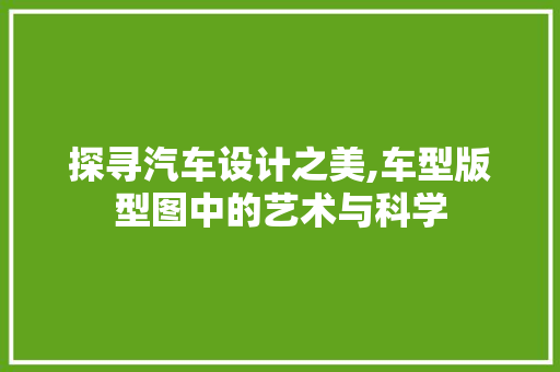 探寻汽车设计之美,车型版型图中的艺术与科学