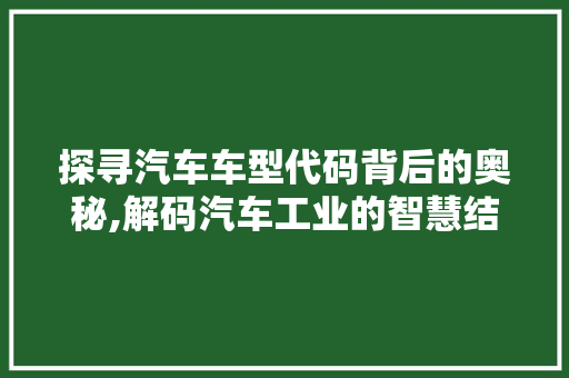 探寻汽车车型代码背后的奥秘,解码汽车工业的智慧结晶