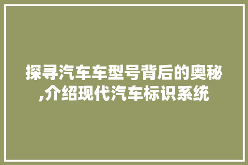 探寻汽车车型号背后的奥秘,介绍现代汽车标识系统