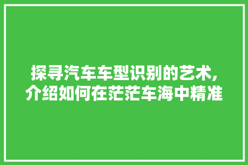 探寻汽车车型识别的艺术,介绍如何在茫茫车海中精准定位