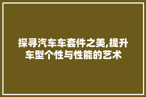 探寻汽车车套件之美,提升车型个性与性能的艺术