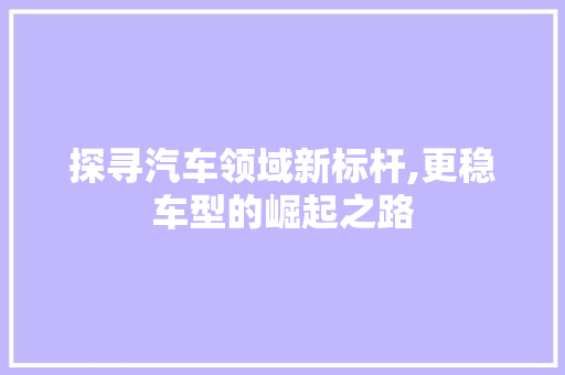 探寻汽车领域新标杆,更稳车型的崛起之路