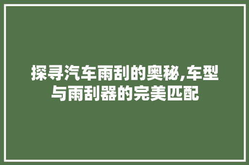 探寻汽车雨刮的奥秘,车型与雨刮器的完美匹配