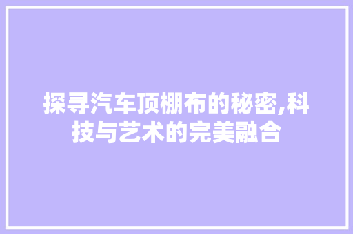 探寻汽车顶棚布的秘密,科技与艺术的完美融合