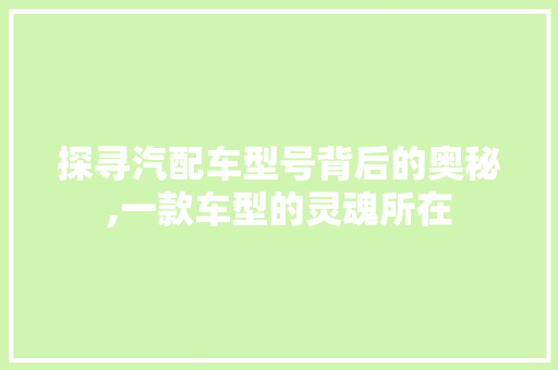 探寻汽配车型号背后的奥秘,一款车型的灵魂所在