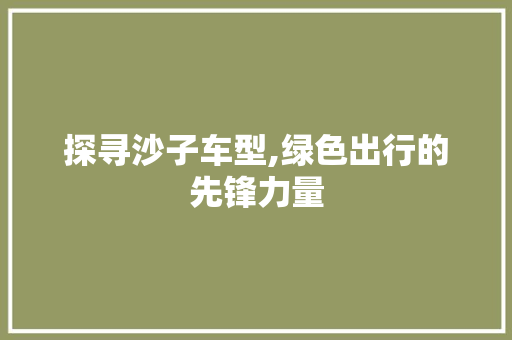 探寻沙子车型,绿色出行的先锋力量