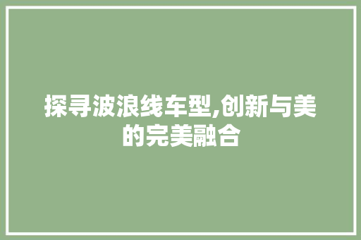 探寻波浪线车型,创新与美的完美融合