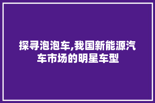 探寻泡泡车,我国新能源汽车市场的明星车型