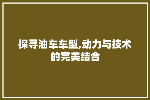 探寻油车车型,动力与技术的完美结合