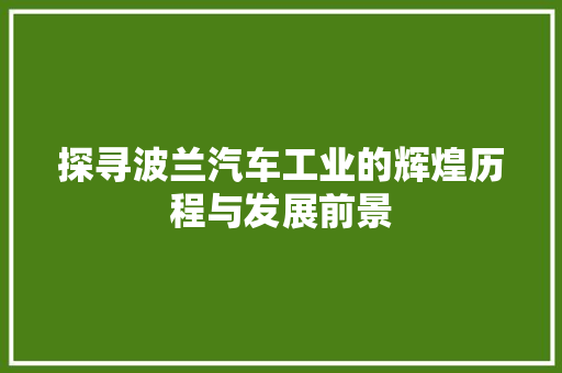 探寻波兰汽车工业的辉煌历程与发展前景